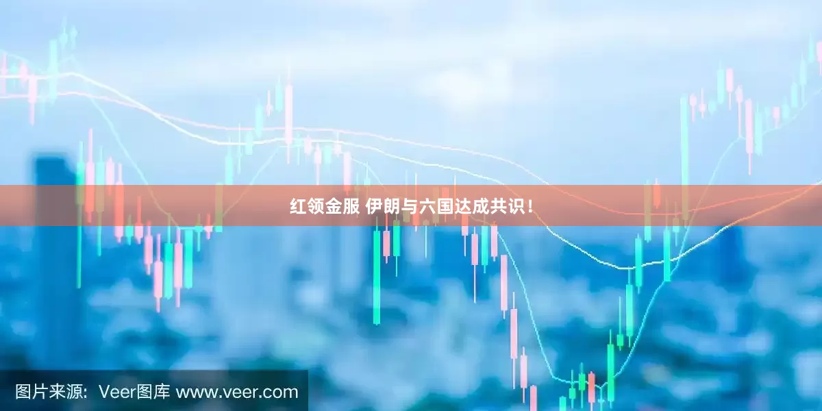 红领金服 伊朗与六国达成共识！