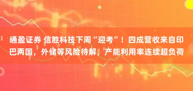 通盈证券 信胜科技下周“迎考”！四成营收来自印巴两国，外储等风险待解，产能利用率连续超负荷